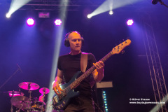 The-Pineapple-Thief12