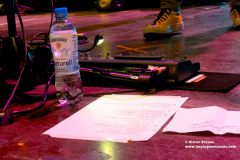 The-Pineapple-Thief13