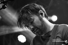 The-Pineapple-Thief14