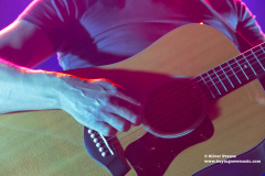 The-Pineapple-Thief19