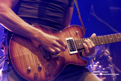 The-Pineapple-Thief2